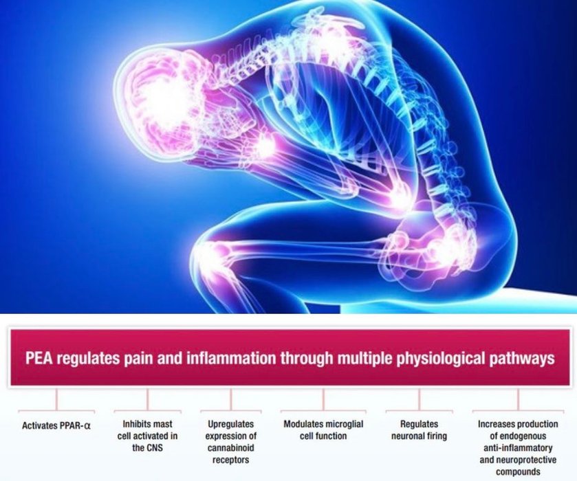 Thumbnail of www-x-com-mitopapi-status-1845934229982462335-14bea65f15604379