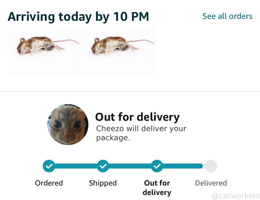 Thumbnail of www-x-com-catworkers-status-1849179738243244364-155b75b3608a44fe