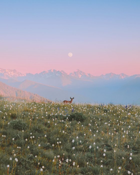 Thumbnail of www-x-com-emilyshoots-status-1848144680707596788-1560140743844f7b