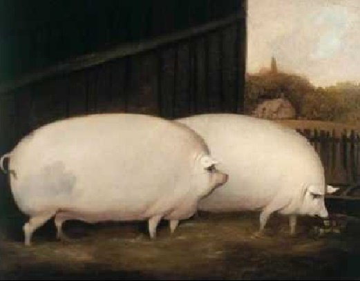 Thumbnail of www-x-com-suihaveaniceday-status-905140664693923845-15f5dc8120b34535