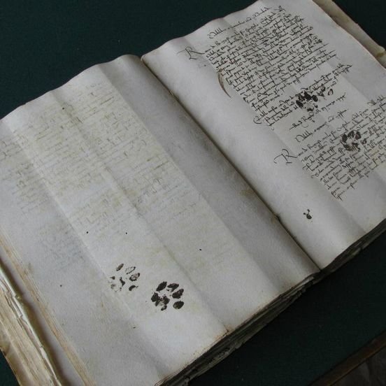 Thumbnail of www-x-com-postsofcats-status-1782220375981523449-1640b2d54fc941f2