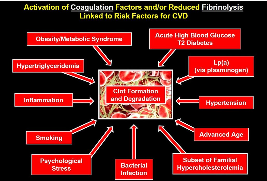 Thumbnail of www-x-com-ldlskeptic-status-1944822810674671991-16d07376355e4d61