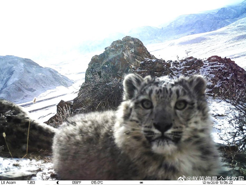 Thumbnail of www-x-com-trail-cams-status-1894118737655046372-17cc1abc61bf4ccb