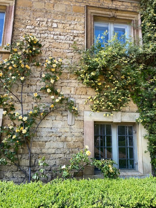 Thumbnail of www-x-com-zarahandley-status-1920890047521341615-1859eed85b394b25