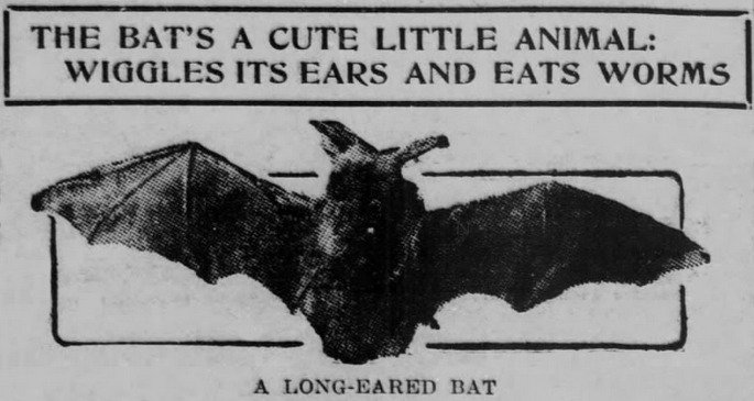 Thumbnail of www-x-com-yesterdaysprint-status-1879272276916412901