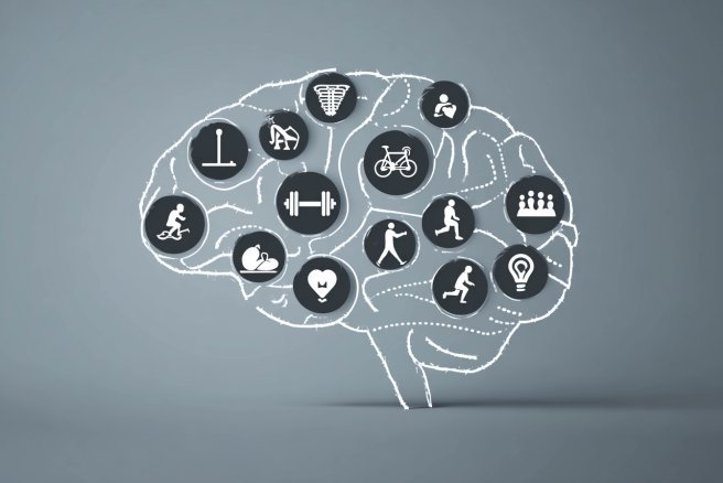 Thumbnail of www-x-com-neurosciencenew-status-1942670804141166596