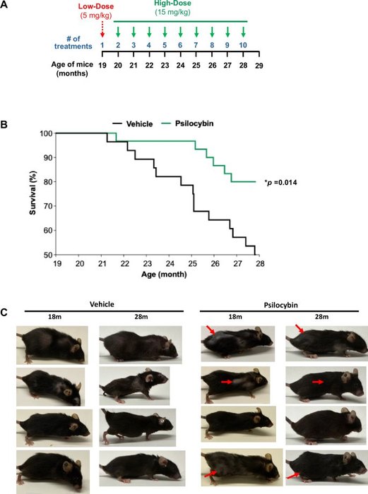 Thumbnail of www-x-com-foundmyfitness-status-1948426235773907090