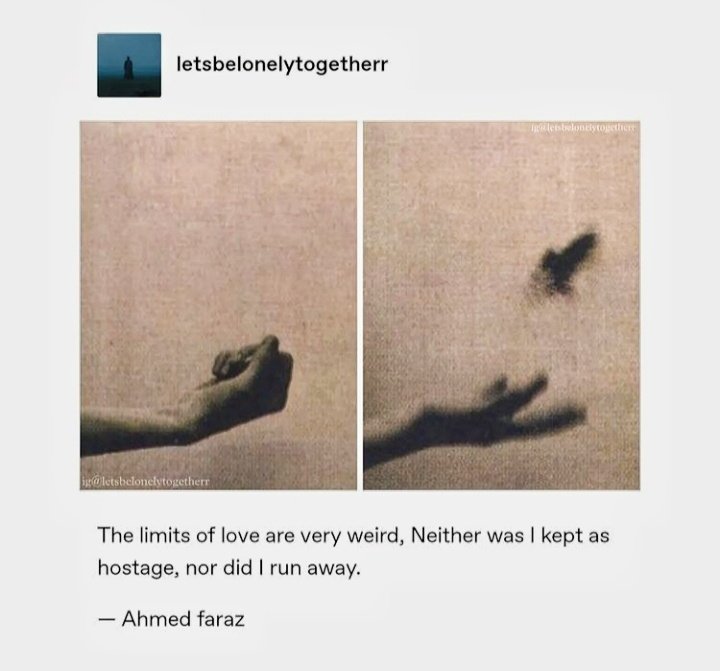 Thumbnail of www-x-com-oraazaaaa-status-1522672702389170176-1991b2fadce444e1