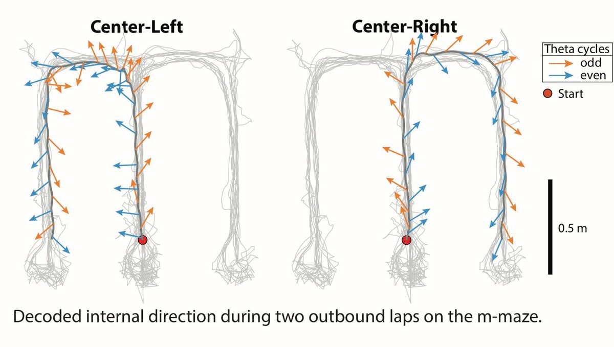 Thumbnail of www-x-com-jcarpenter-status-1843273125905269121-19d7d09136234ab2