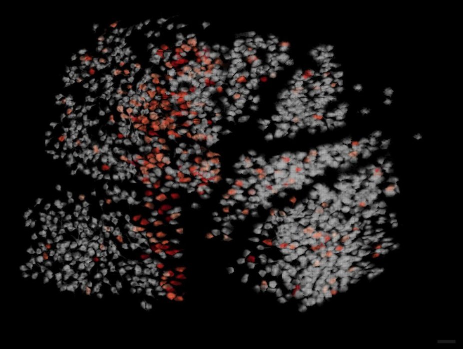 Thumbnail of www-x-com-jcarpenter-status-1843273125905269121-19d7d09136234ab2