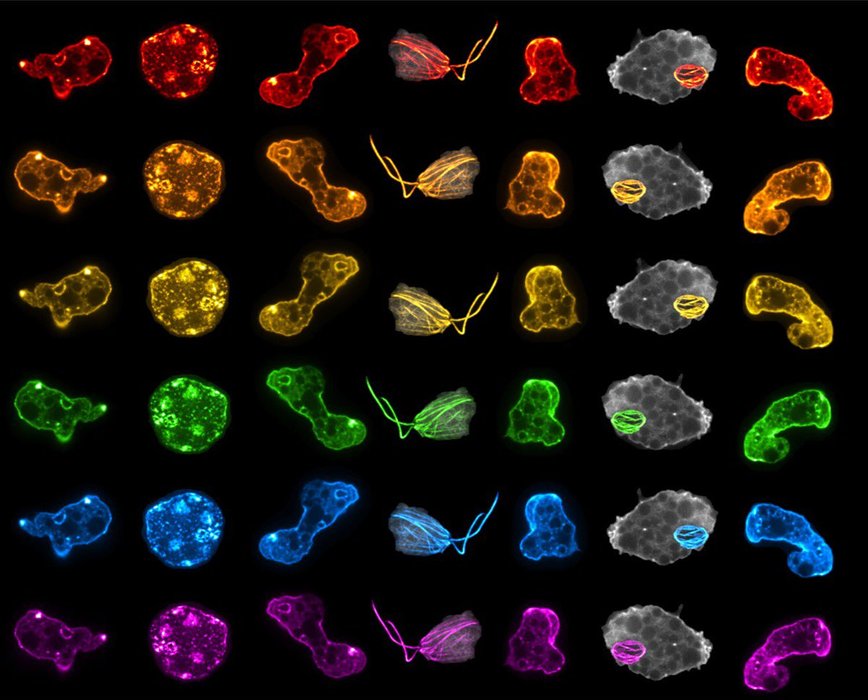 Thumbnail of www-x-com-katrinavelle-status-1402075612186136578-1ba204e88ac7422d