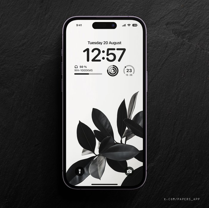 Thumbnail of www-x-com-papers-app-status-1837675684593795255-1c62be9f3e8f40ef