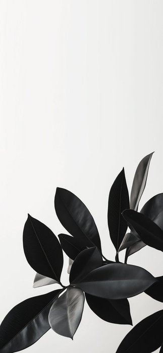 Thumbnail of www-x-com-papers-app-status-1837675684593795255-1c62be9f3e8f40ef