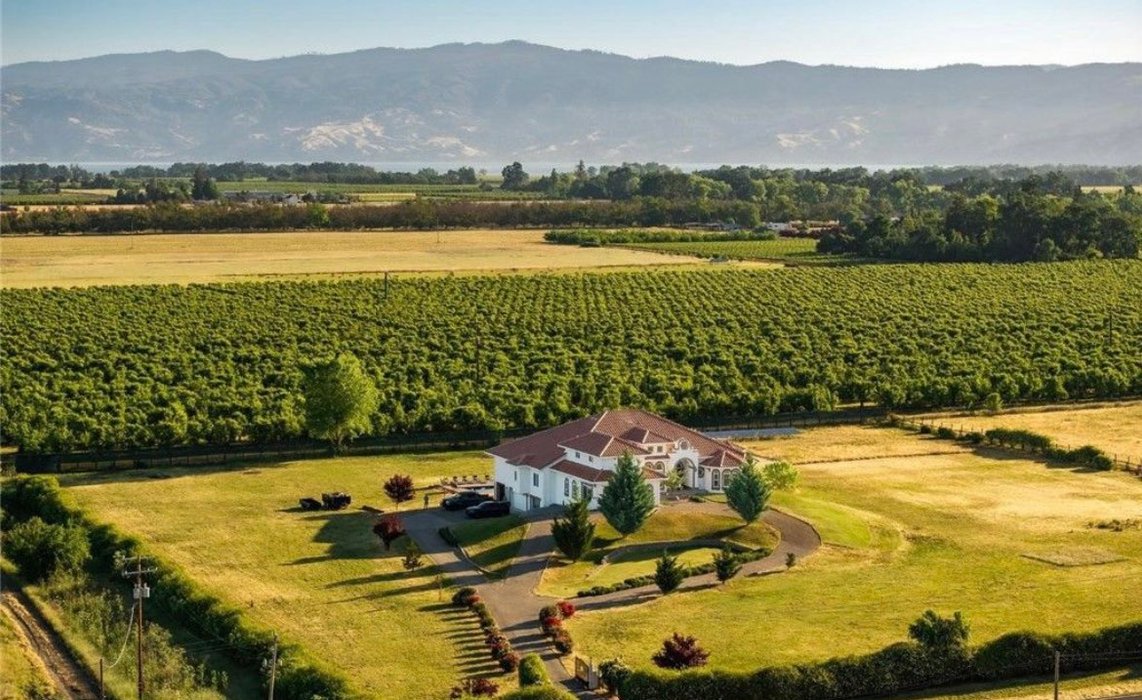 Thumbnail of www-x-com-rohindhar-status-1795294536702546156-1d0f25d09726488e