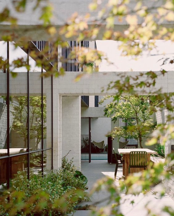 Thumbnail of www-x-com-linear-magazine-status-1642538718186668033-1d46a3334bfd4520