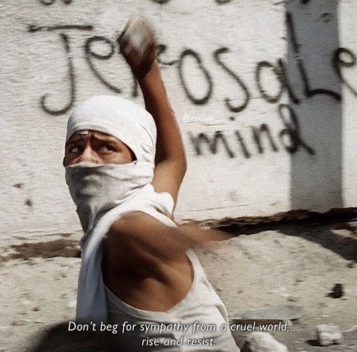 Thumbnail of www-x-com-1964archives-status-1874751928611266700-202c554c09bf46b6