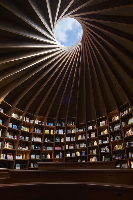 Thumbnail of www-x-com-luusssso-status-1908536878141223053-20e05c054726415b