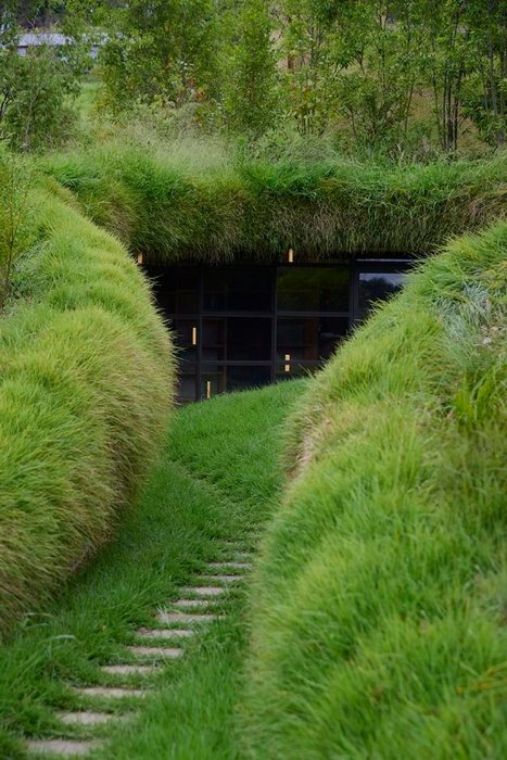 Thumbnail of www-x-com-luusssso-status-1908536878141223053-20e05c054726415b