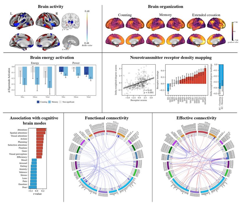 Thumbnail of www-x-com-matthewsacchet-status-1967541972383441069-2186d056288b45ea
