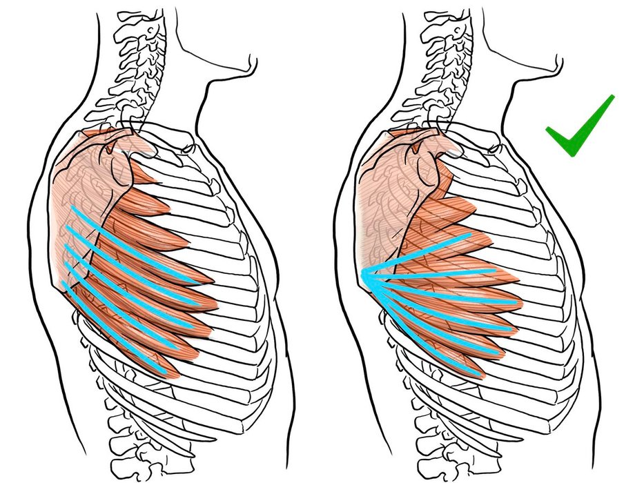 Thumbnail of www-x-com-kato-anatomy-status-1858775602502737930-266daa1912cc4368