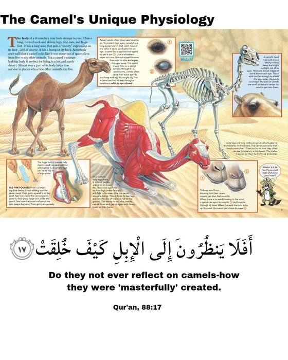 Thumbnail of www-x-com-al-quran-011-status-1890121903685443627-268227a3ac7d42ce