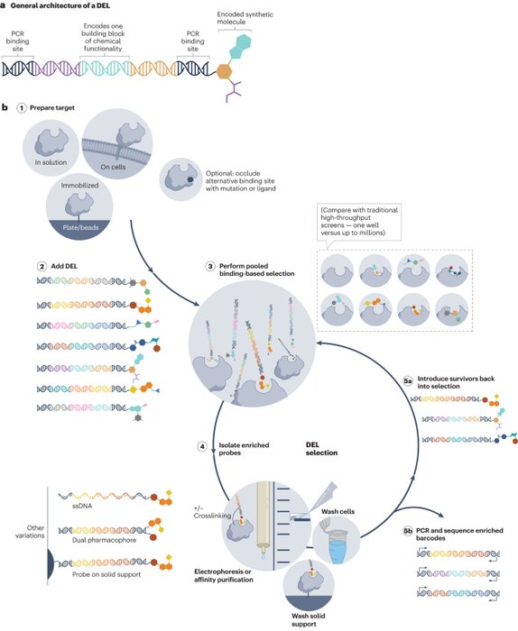 Thumbnail of www-x-com-natrevdrugdisc-status-1669715538648375296-26ddc150fa08428c