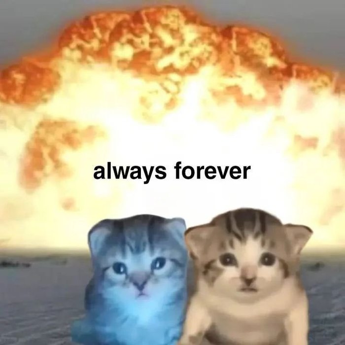 Thumbnail of www-x-com-aurawithcat-status-1801936170601042014-26f7320d4b9446ef
