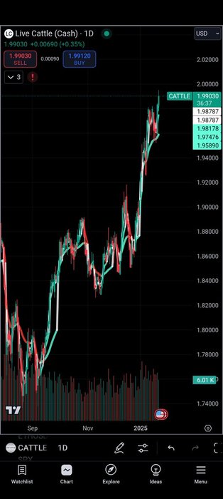 Thumbnail of www-x-com-untappedgrowth-status-1882519676569412078-2794c2187ff44d37