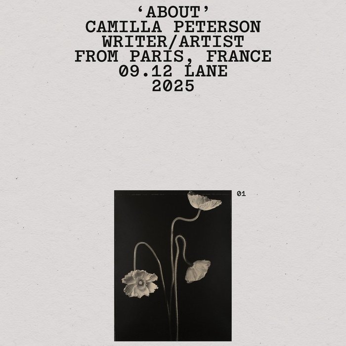 Thumbnail of www-x-com-aarzooaly-status-1946803189837361434-28751628a6874f16