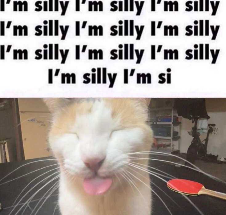 Thumbnail of www-x-com-literallymecats-status-1576378425568555008-2940408322c44317