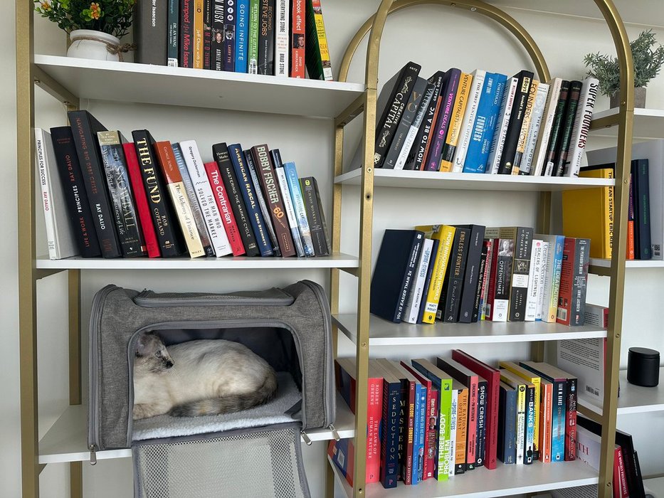 Thumbnail of www-x-com-kokoxsu-status-1812192411851817378-2f20dd89d8414b3d