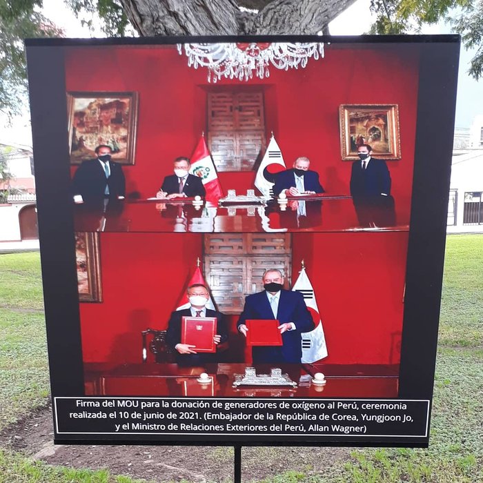 Thumbnail of www-x-com-lizpaucar90-status-1420524762636460033-30210497a43d4bc2