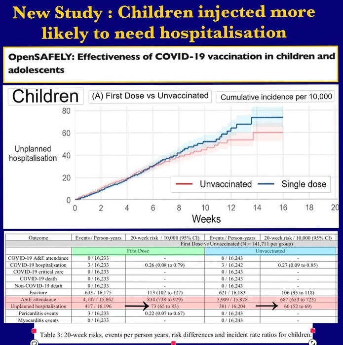 Thumbnail of www-x-com-craigkellyafee-status-1797798435250466913-30bcf2b208464cf5