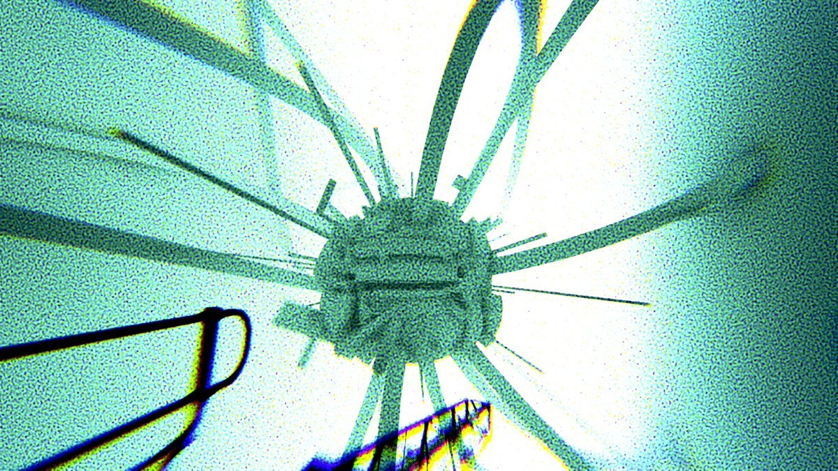 Thumbnail of www-x-com-stefaaan06-status-1956785838492123329-34da41aef5204a26