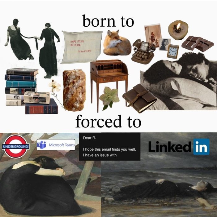 Thumbnail of www-x-com-whereswansdream-status-1850876230372901326-356d88f322fa4944