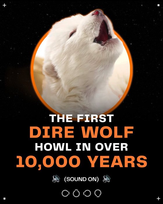 Thumbnail of www-x-com-colossal-status-1909247817672957959-35829c05d7024a0d