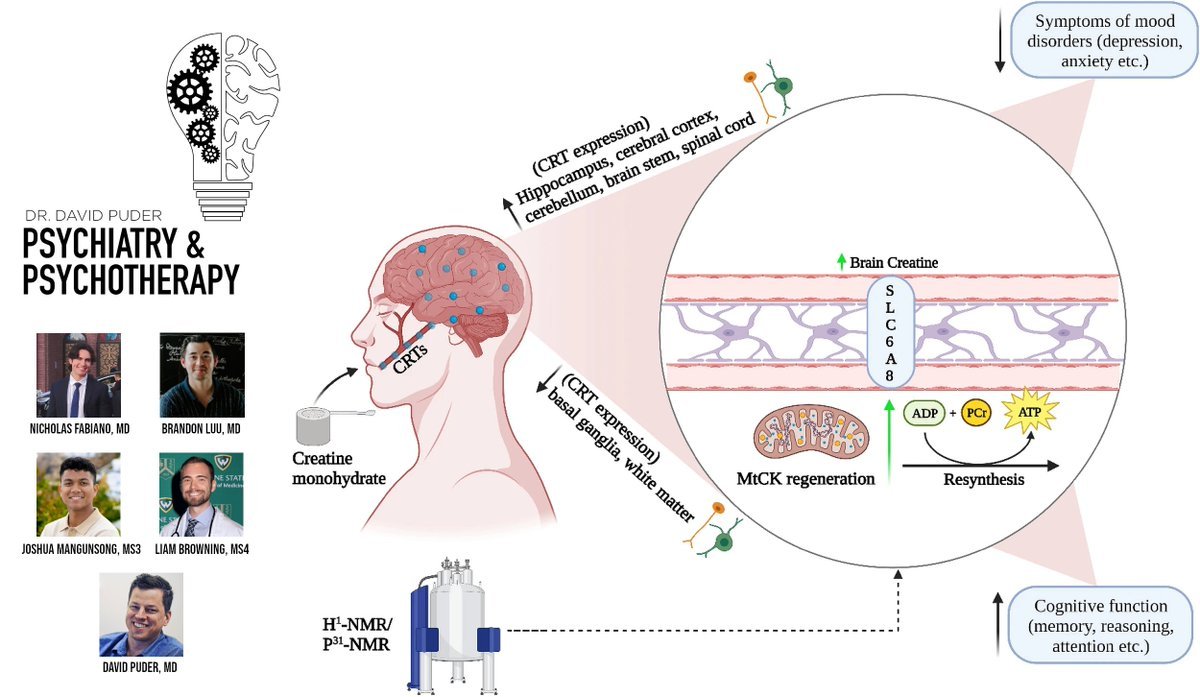 Thumbnail of www-x-com-ntfabiano-status-1913217718955679845-3647df4edd3a4445