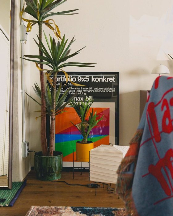 Thumbnail of www-x-com-interiorsuckerr-status-1924762773902295257-368a1f1bf6be4dbd