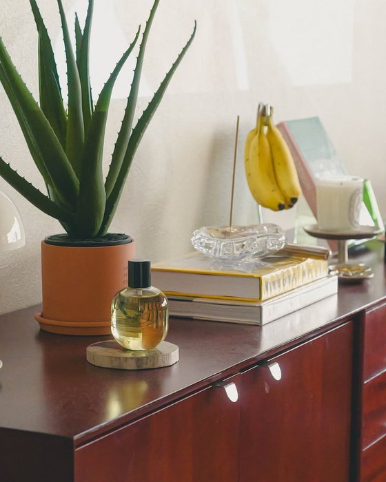 Thumbnail of www-x-com-interiorsuckerr-status-1924762773902295257-368a1f1bf6be4dbd