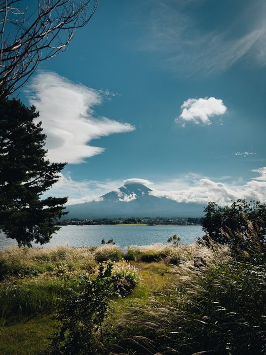 Thumbnail of www-x-com-ultralinx-status-1893604295657861315-38c5afb3836e4b46