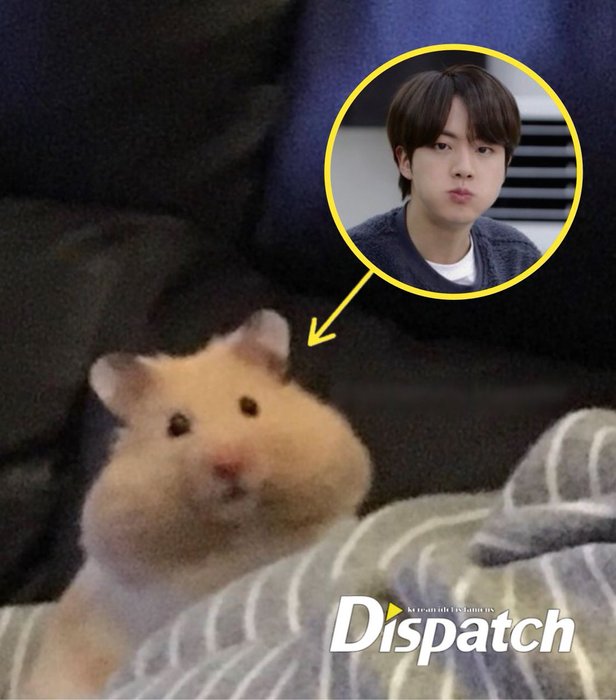 Thumbnail of www-x-com-seokieats-status-1476049333216854018-39c1728526834b2b