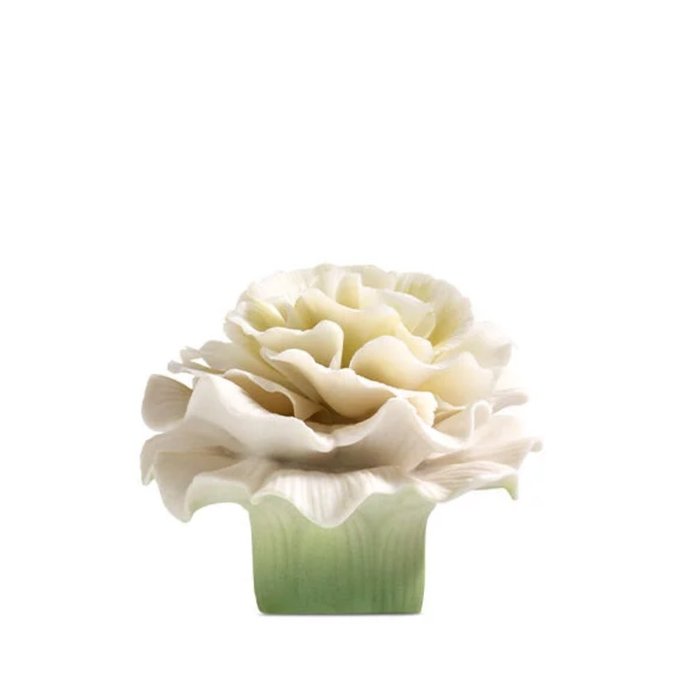 Thumbnail of www-x-com-suzybydesign-status-1864242207919599867-3a6b81bea98e4593