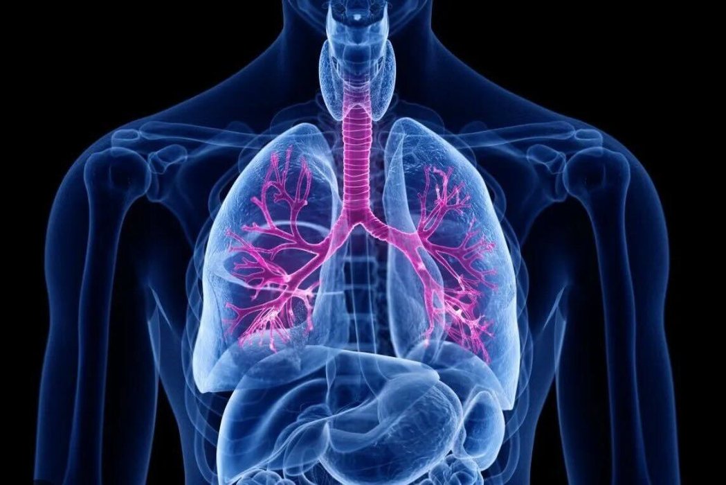 Thumbnail of www-x-com-mike-behr-status-1924437723349233976-3e4859aeaa4145f1