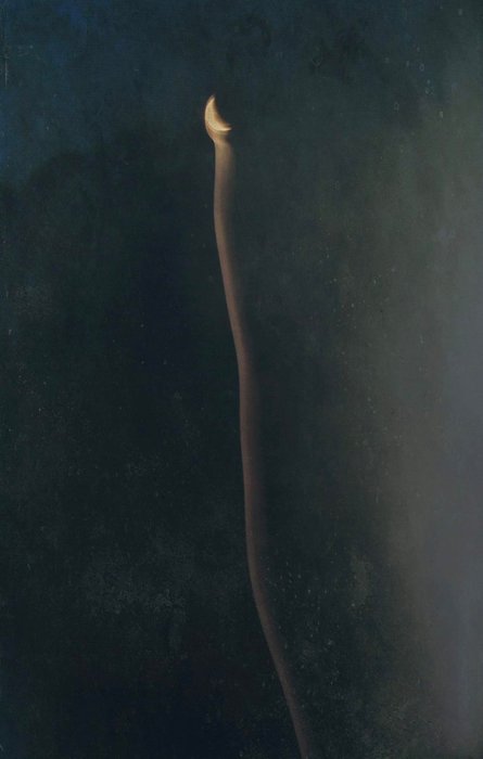 Thumbnail of www-x-com-isabellayonce-status-1380540412536963083-3e7563a552974d39