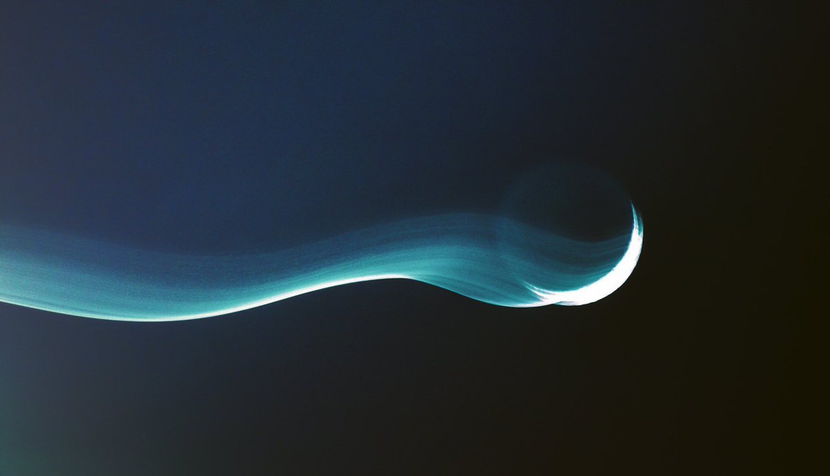 Thumbnail of www-x-com-isabellayonce-status-1380540412536963083-3e7563a552974d39