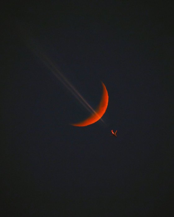 Thumbnail of www-x-com-isabellayonce-status-1380540412536963083-3e7563a552974d39