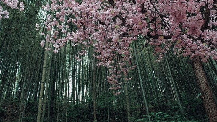 Thumbnail of www-x-com-ksjfolder-status-1422556441144184839-3f5dbf7bd6e94e63