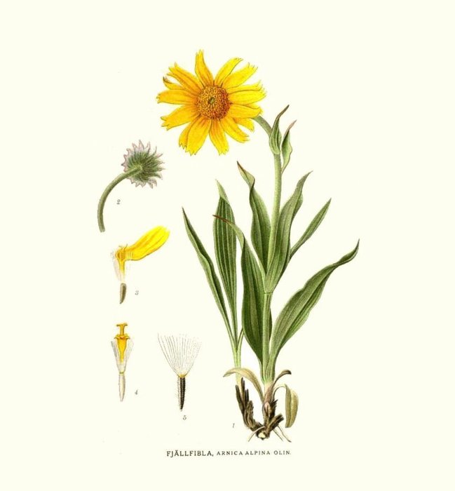 Thumbnail of www-x-com-vitallymelanie-status-1853869722523353224-436f41752b4b4f3c