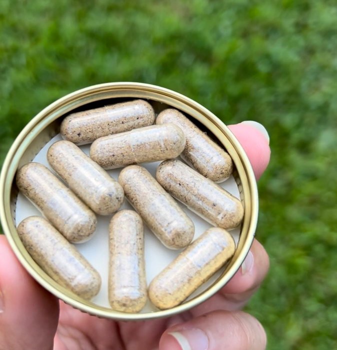 Thumbnail of www-x-com-vitallymelanie-status-1853869722523353224-436f41752b4b4f3c