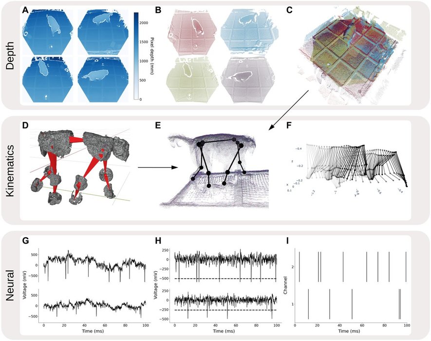 Thumbnail of www-x-com-stanfordbrain-status-1440391675516375042-43fe440859424914